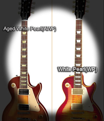 Dish AWP Fret Markers Inlay Sticker Decal Guitar