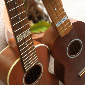 custom named 10th fret marker for ukulele